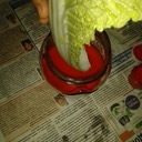 photo thumbnail