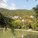 photo thumbnail