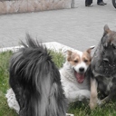 photo thumbnail