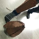 древняя история